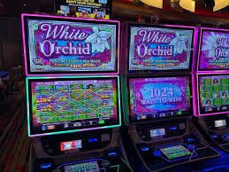 Riwayat hasil permainan Allbet dengan timestamp dan jumlah taruhan
